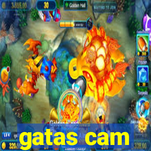 gatas cam